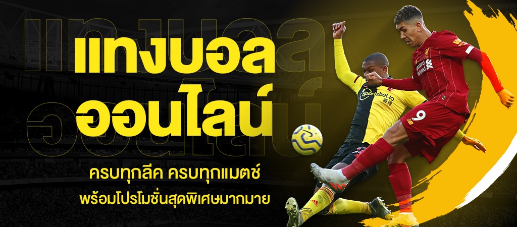 แทงบอลคู่คี่88
